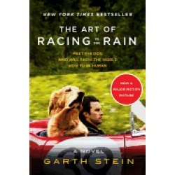 art of racing in the rain tie in
