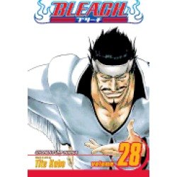 bleach 28