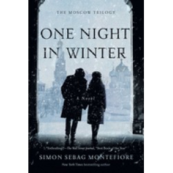 one night in winter a novel