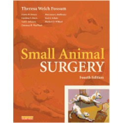small animal surgery