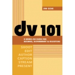 dv 101 a hands on guide for business government and educators