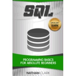sql programming basics for absolute beginners