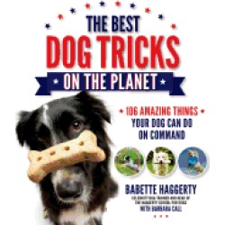 best dog tricks on the planet 106 amazing things your dog can do on command