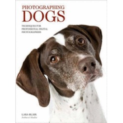 photographing dogs techniques for professional digital photographers