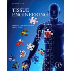 tissue engineering