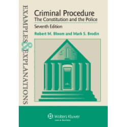 examples and explanation criminal procedure the constitution and the police