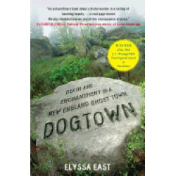 dogtown death and enchantment in a new england ghost town