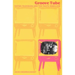 groove tube sixties television and the youth rebellion