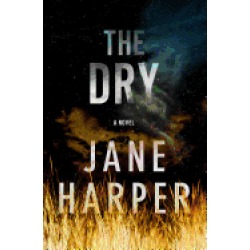 dry a novel