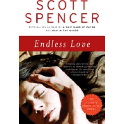 endless love a novel