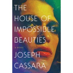 house of impossible beauties a novel