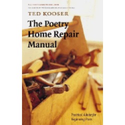 poetry home repair manual practical advice for beginning poets