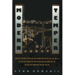 modern temper american culture and society in the 1920s
