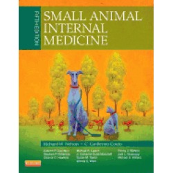 small animal internal medicine