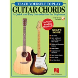 teach yourself to play guitar chords a quick and easy introduction for begi