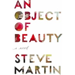 object of beauty a novel