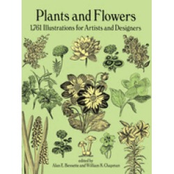 plants and flowers 1761 illustrations for artists and designers