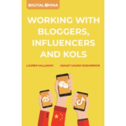 digital china working with bloggers influencers and kols