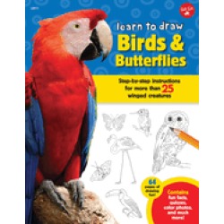 learn to draw birds and butterflies step by step instructions for more than