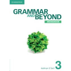 grammar and beyond level 3 workbook
