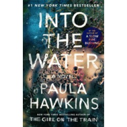 into the water a novel