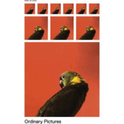 ordinary pictures
