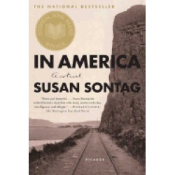 in america a novel