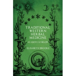 traditional western herbal medicine as above so below