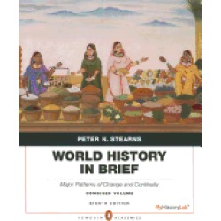 world history in brief major patterns of change and continuity combined vol