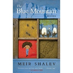 blue mountain a novel