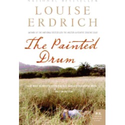 painted drum a novel