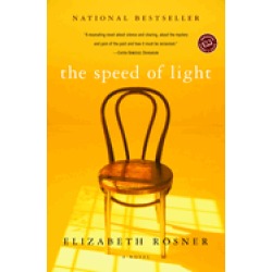 speed of light a novel