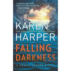 falling darkness a novel of romantic suspense
