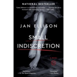 small indiscretion a novel