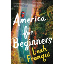 america for beginners a novel