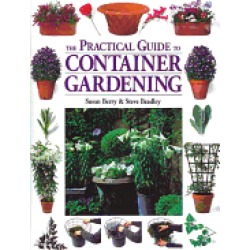 practical guide to container gardening