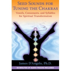 seed sounds for tuning the chakras vowels consonants and syllables for spir