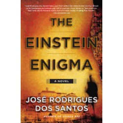 einstein enigma a novel