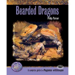bearded dragons a complete guide to pogona vitticeps