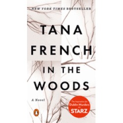 in the woods a novel