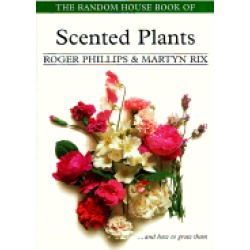 scented plants