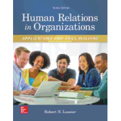 human relations in organizations applications and skill building