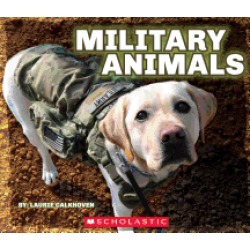 military animals with dog tags