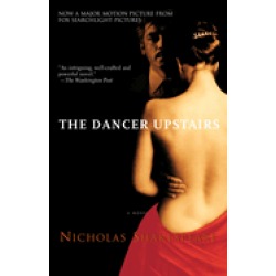 dancer upstairs a novel