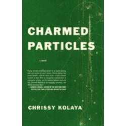 charmed particles a novel
