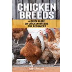 chicken breeds a quick guide on chicken breeds for beginners