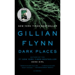 dark places a novel