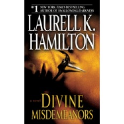 divine misdemeanors a novel