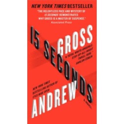 15 seconds a novel