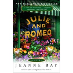 julie and romeo a novel